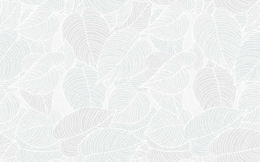 PLATINUM BOHEMIA BASIC KW A 25 X 40