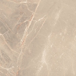 [FC040209026791] PLATINUM DUBLIN BROWN KW A 50X50 (A)