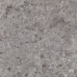 [FC040209026790] PLATINUM DALLAS GREY KW A 50X50 (A)