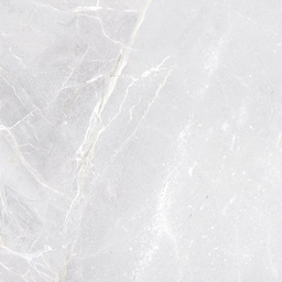 [FC040209026792] PLATINUM DUBLIN GREY 50X50 (A)